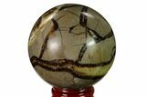 Polished Septarian Sphere - Madagascar #154117-1